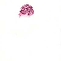 Pastel rose sur calque 21 x 29,7cm 2008  nuques david 4